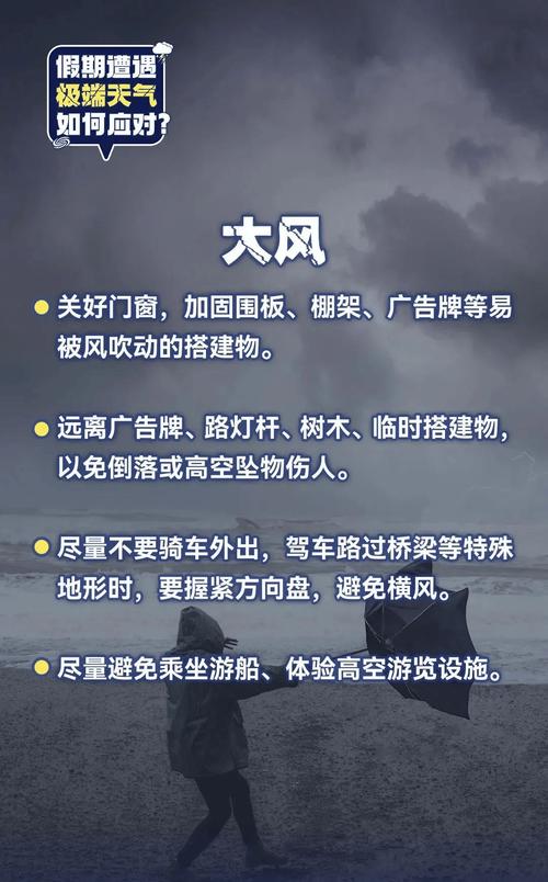 极端天气应对（气候适应城市）（极端天气应对措施）