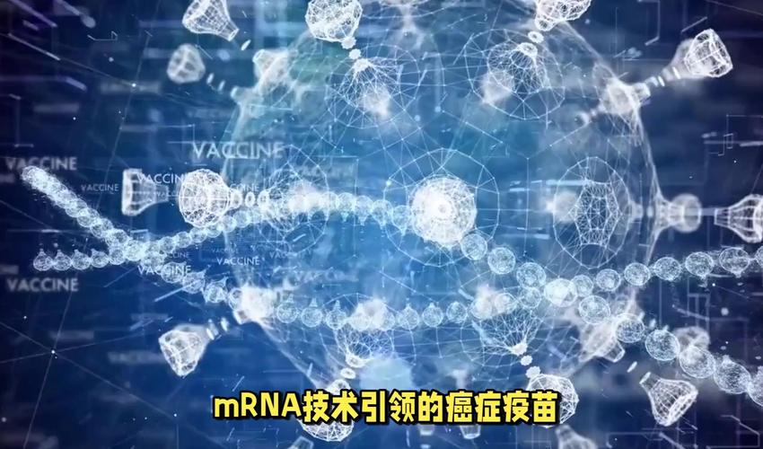 疫苗国际合作（mRNA技术转移）（mrna疫苗中国合作）