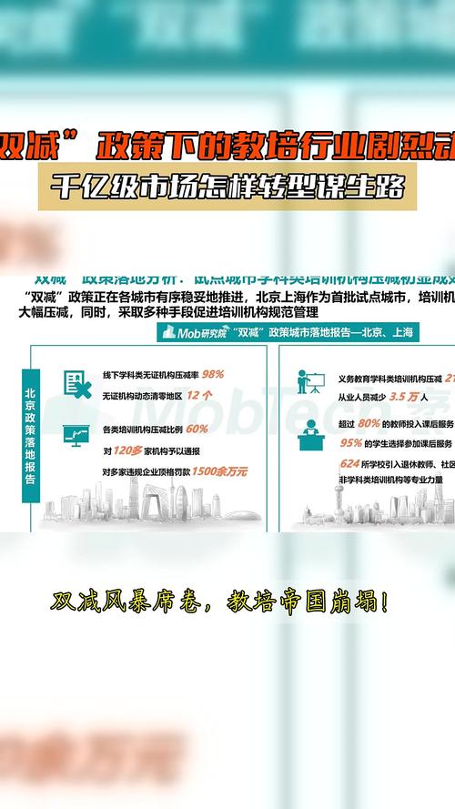 双减政策（教培转型）（双减政策下教培行业的出路）