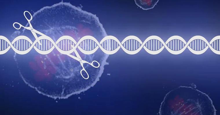 生物科技突破（基因编辑应用）（生物基因技术）