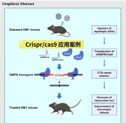 生物科技突破（基因编辑应用）（生物基因技术）