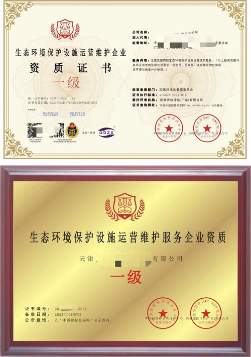 环境污染治理（环境污染治理设施运营资质许可管理办法）