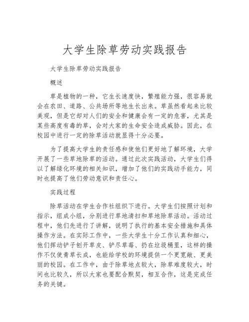 劳动教育实践（劳动教育实践报告2000字）