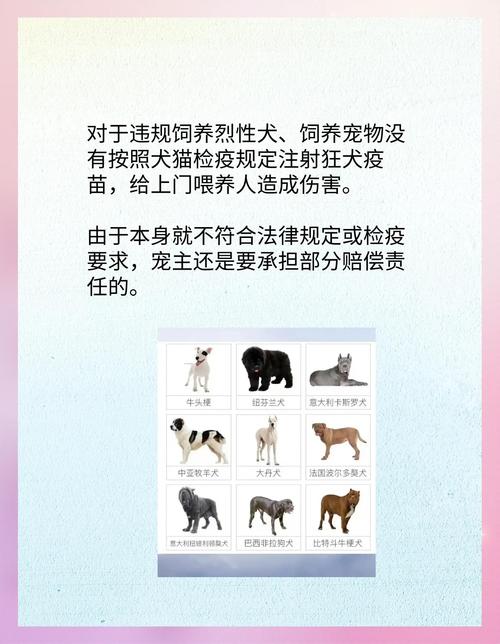 宠物伤人事件（宠物伤人谁担责）