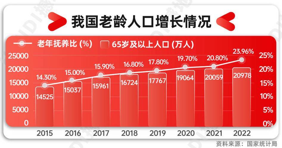 人口老龄化（养老服务体系）（人口老龄化指标体系）
