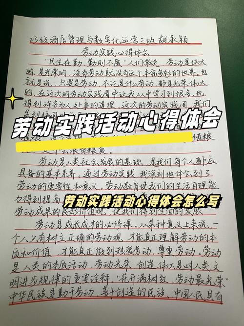 劳动教育实践（劳动教育实践活动心得体会）