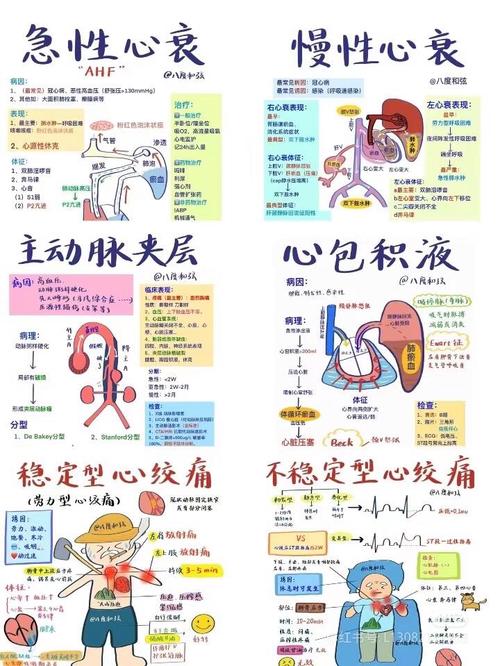 心血管事件链共识（心血管事件链顺序）