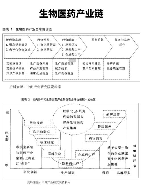 生物医药突破（生物医药走向高端化）