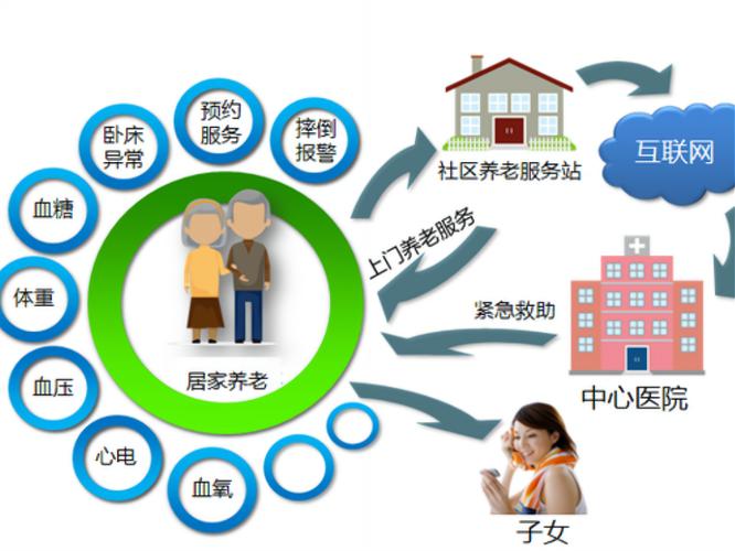 医养结合（养老医疗服务）（医养结合养老服务体系）