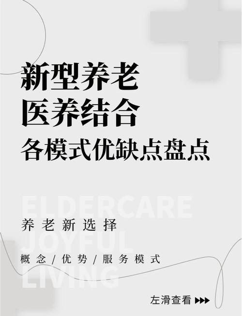 医养结合（养老医疗服务）（医养结合养老服务体系）
