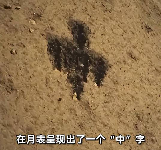 月球背面（月球背面土壤）
