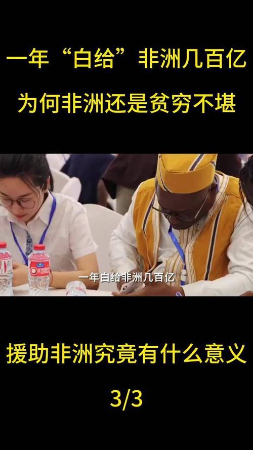 非洲发展援助（非洲援助金额）