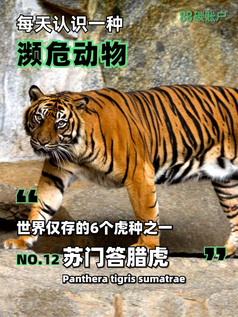 濒危物种（濒危物种的资料）