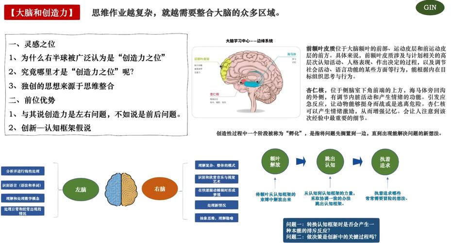 记忆机制（大脑记忆机制）