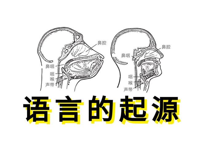 语言演变（语言演变的规律）