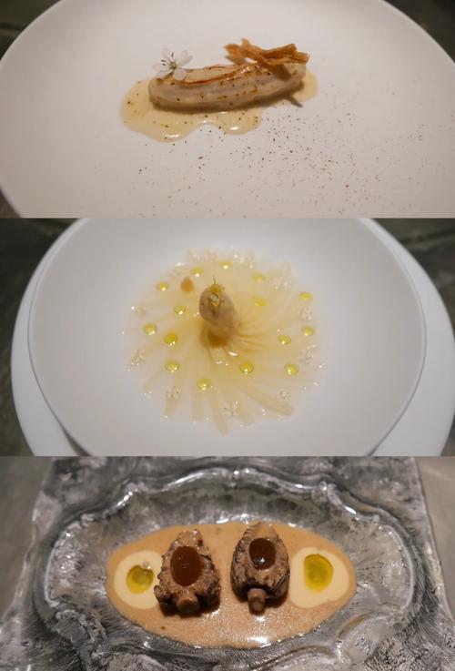 分子料理（料理是什么意思）