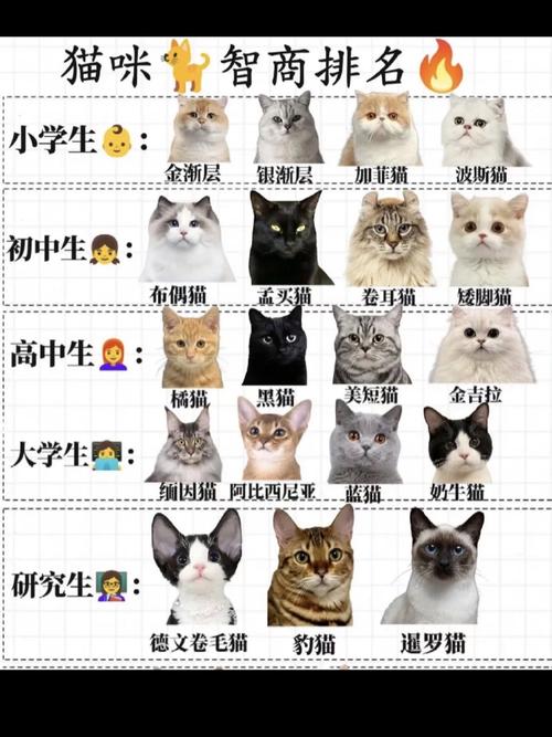 动物智商（动物智商排名一览表）