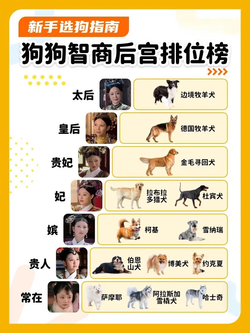 动物智商（动物智商排名一览表）