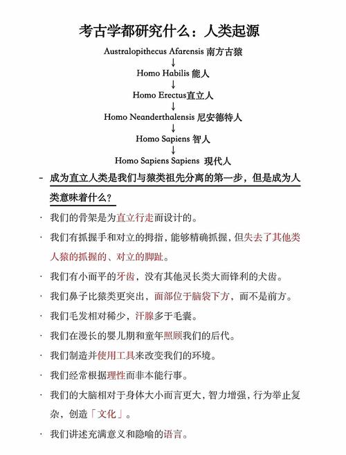 考古发现（考古发现在研究人类起源与进化过程中的作用）