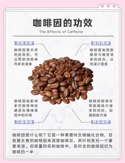 咖啡因作用(咖啡酸片的功能与主治)