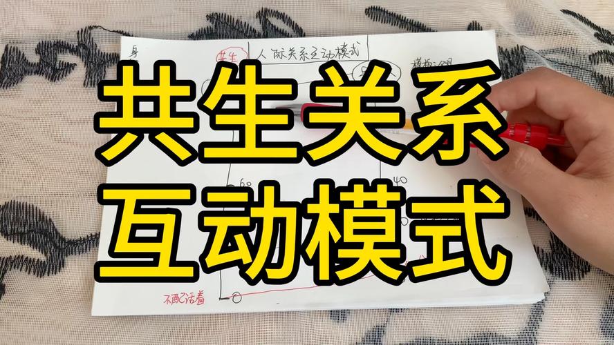 共生关系(共生关系可以分开吗)