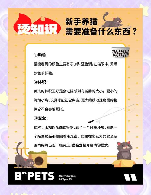 猫为什么怕黄瓜？（猫为什么怕黄瓜的原因）