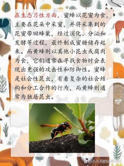 昆虫社会(昆虫社会与人类社会的关系)