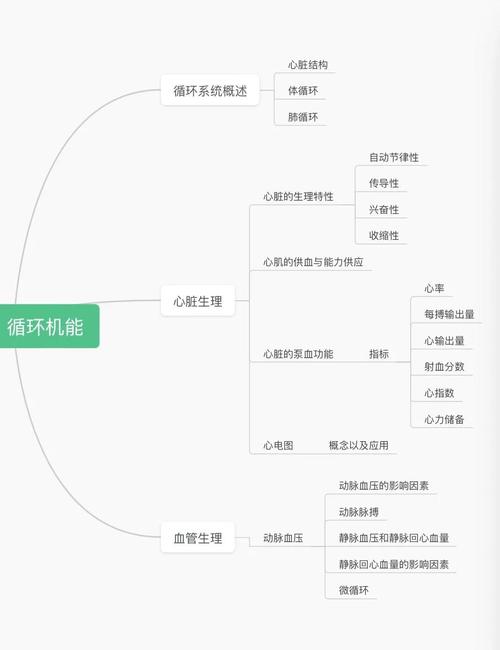 运动生理学(运动生理学重点知识归纳)