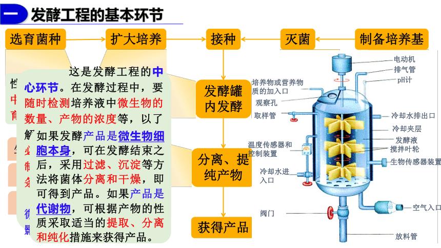 发酵原理（化粪池发酵原理）