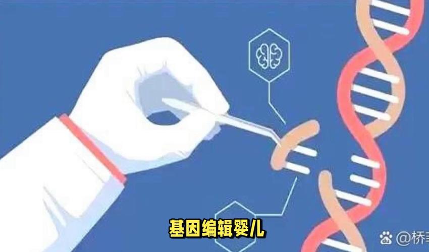 基因编辑（基因编辑婴儿娜娜和露露现状）