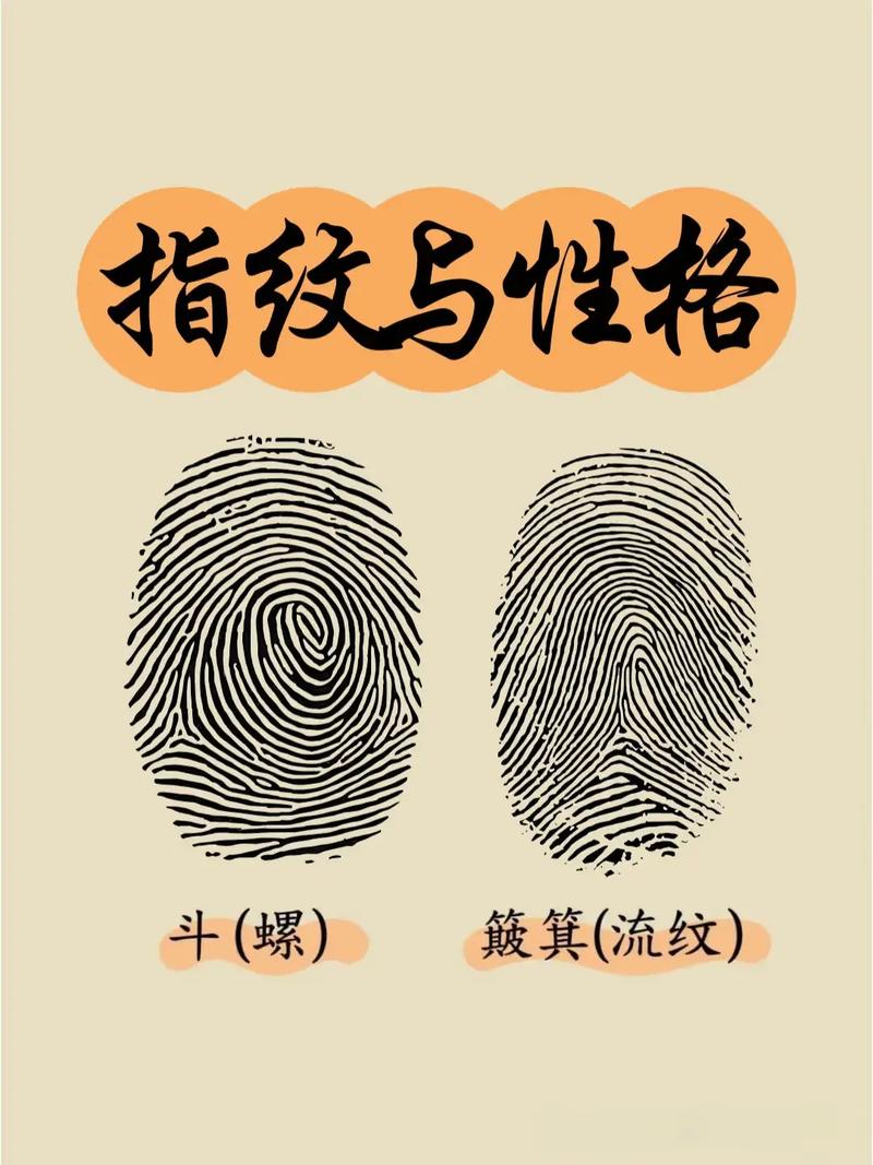 指纹的作用(指纹的作用六条)