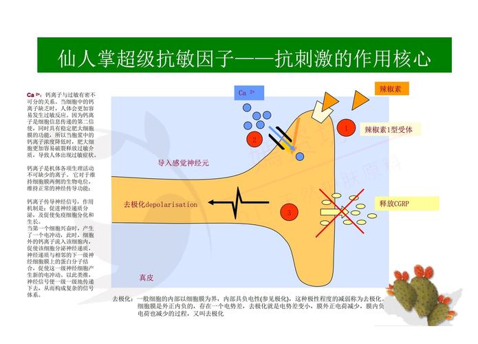 植物防御机制(植物防御的三种类型)