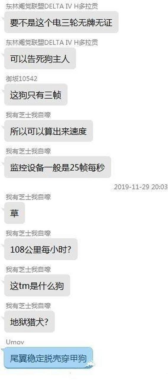 给宠物讲量子物理的教案(如何跟你的狗聊量子物理)