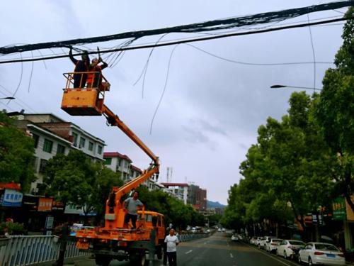 蜘蛛网增强混凝土(蜘蛛网整治)
