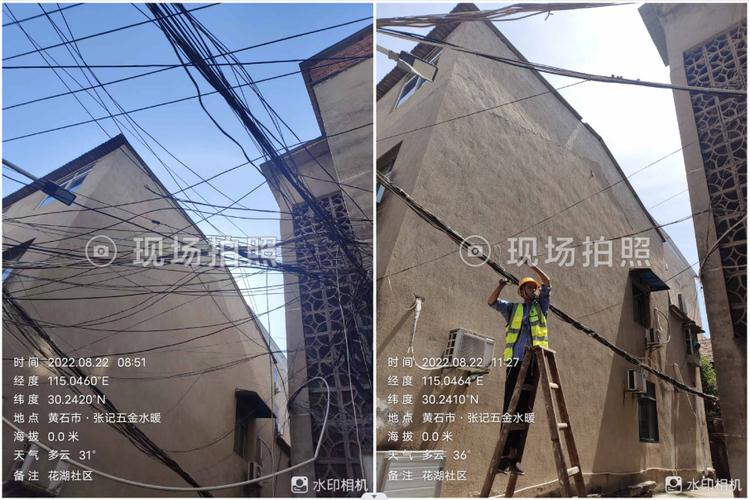 蜘蛛网增强混凝土(蜘蛛网整治)