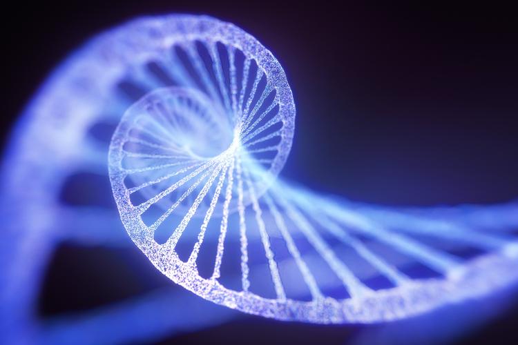 基因治疗让盲人看到红外线(基因治疗让盲人看到红外线的作用)