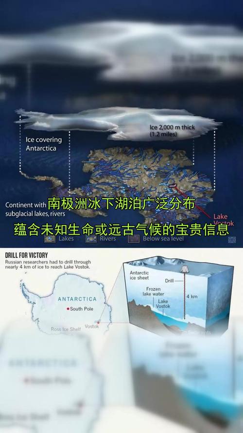 南极冰下的远古病毒库(南极远古病毒是什么)
