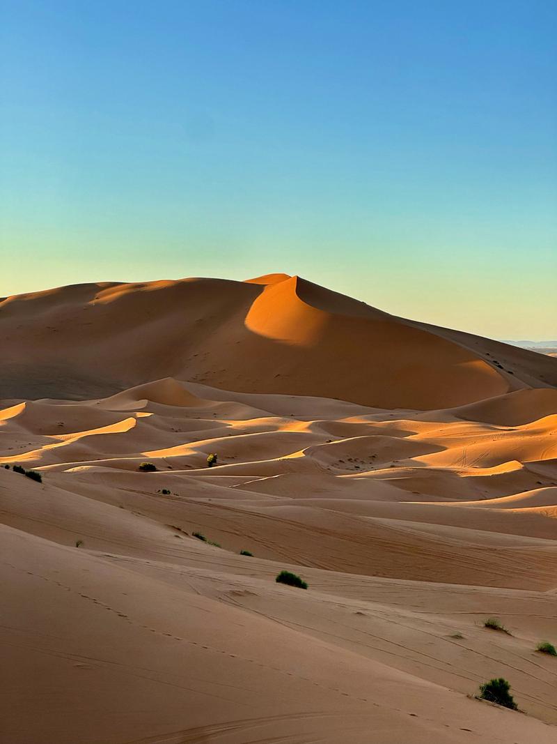 撒哈拉沙漠曾是大草原(撒哈拉沙漠有草原吗)