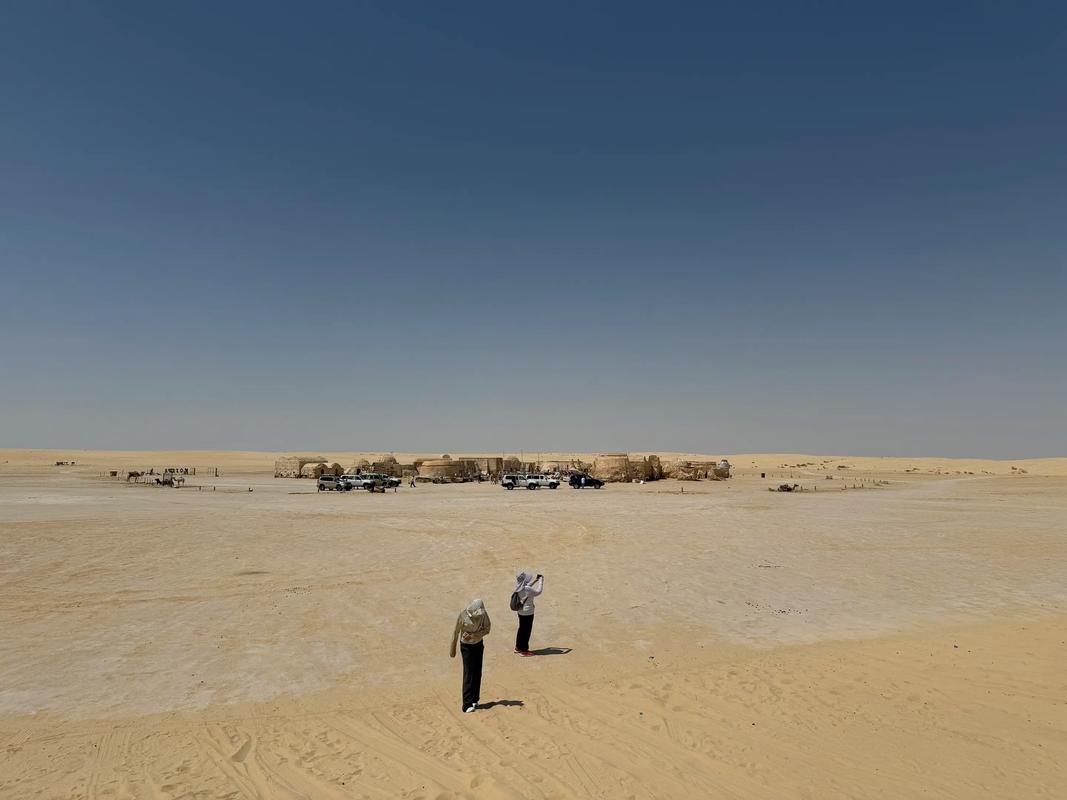 撒哈拉沙漠曾是大草原(撒哈拉沙漠有草原吗)