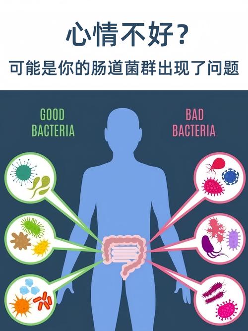 肠道真菌决定抑郁症等级（肠道菌群 真菌）