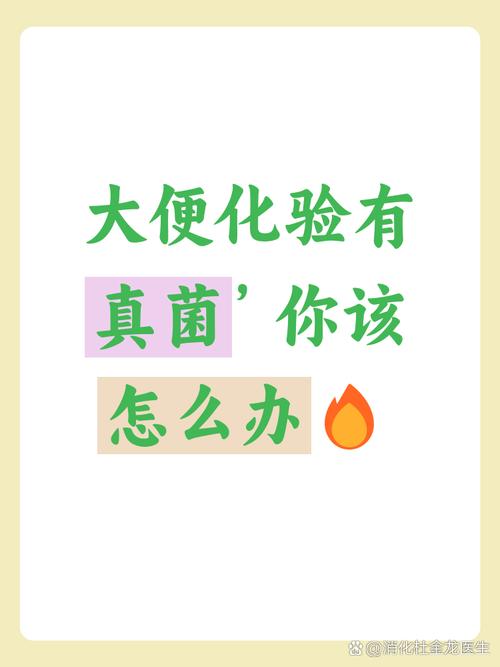 肠道真菌决定抑郁症等级（肠道菌群 真菌）