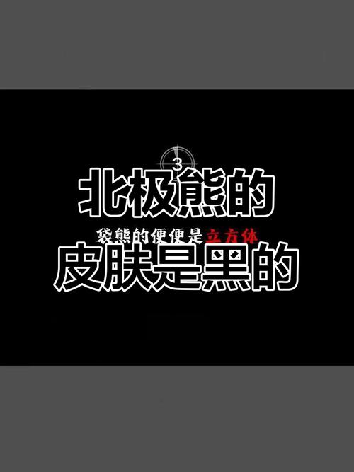 北极熊的皮肤是黑色(北极熊的皮肤是黑色的吗)