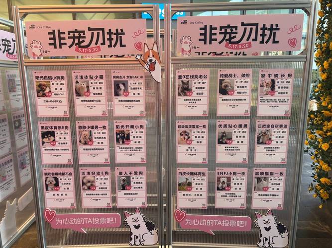 在相亲角挂游戏账号的后果(在相亲平台)