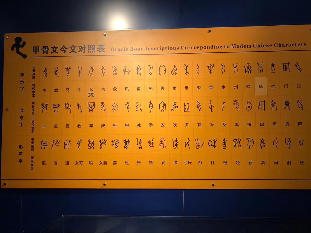 殷墟甲骨文中的传染病(殷墟甲骨文的重大发现)