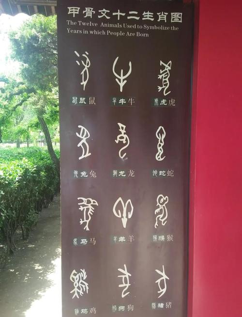 殷墟甲骨文中的传染病(殷墟甲骨文的重大发现)