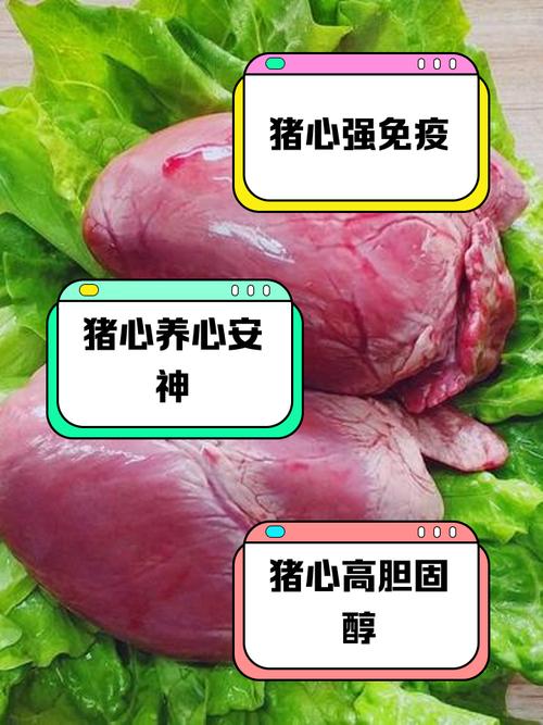 移植猪心脏后的基因污染（猪的心脏可以移植给人类吗有什么后遗症）