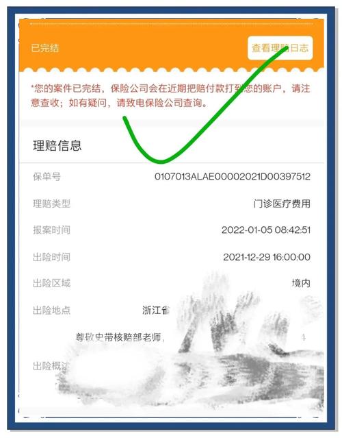 给黑洞买保险的理赔流程(黑洞资金)