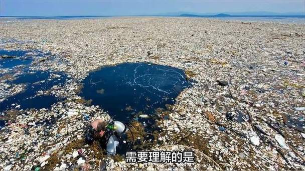 太平洋垃圾带的塑料降解菌(降解塑料的菌群)