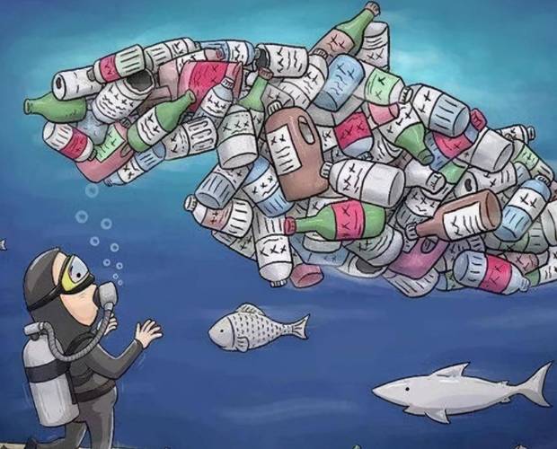 太平洋垃圾带的塑料降解菌(降解塑料的菌群)