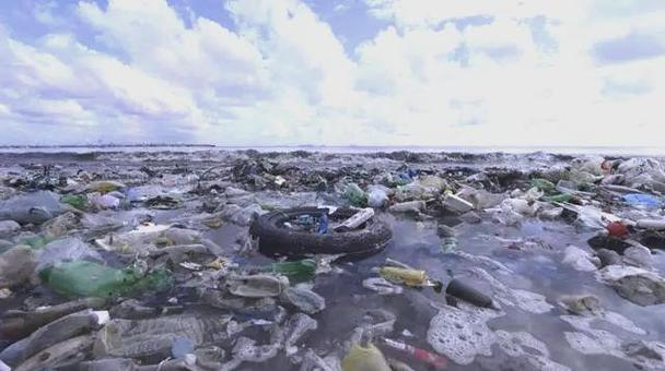 太平洋垃圾带的塑料降解菌(降解塑料的菌群)